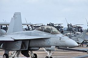 US Navy F/A-18F Super Hornet Fighter