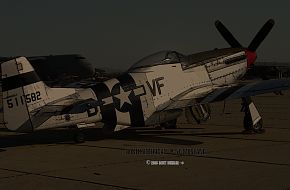 P-51 Mustang Fighter