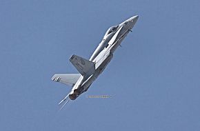 US Navy F-18C Hornet Fighter