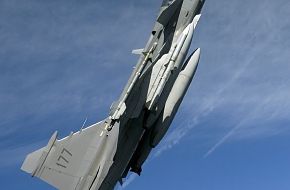 Jas 39 Gripen - SwAF