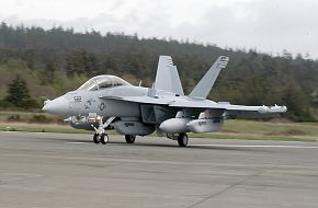 US Navy EA-18G Growler Electronic Warfare Fighter