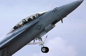 US Navy F/A-18F Super Hornet Fighter