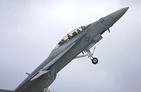 US Navy F/A-18F Super Hornet Fighter