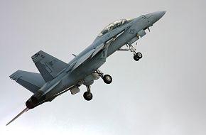 US Navy F/A-18F Super Hornet Fighter