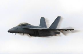 US Navy F/A-18F Super Hornet Fighter