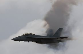 US Navy F/A-18F Super Hornet Fighter