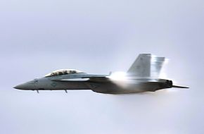 US Navy F/A-18F Super Hornet Fighter