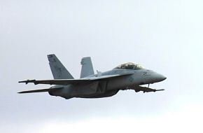 US Navy F/A-18F Super Hornet Fighter