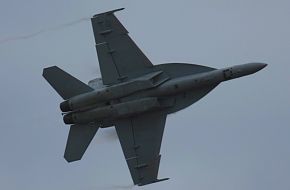 US Navy F/A-18F Super Hornet Fighter