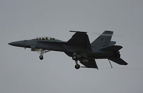 US Navy F/A-18F Super Hornet Fighter