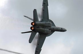 US Navy F/A-18F Super Hornet Fighter