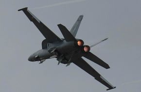 US Navy F/A-18F Super Hornet Fighter