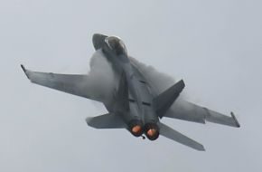 US Navy F/A-18F Super Hornet Fighter