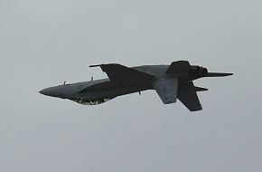 US Navy F/A-18F Super Hornet Fighter