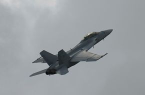 US Navy F/A-18F Super Hornet Fighter