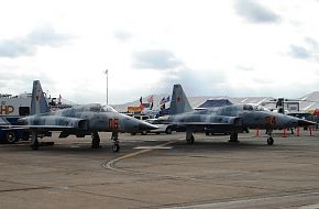 US Navy F-5e Tiger II TOPGUN Aggressor Squadron Fighter