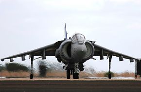 USMC AV-8B Harrier Close Air Support Aircraft