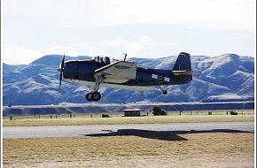 RNZAF Avenger