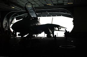 F-14 - Fighter Aircraft - US Navy