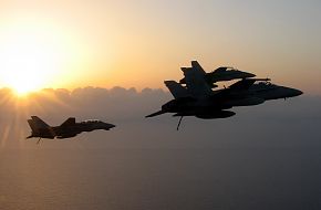 F-14 Tomcat - US Navy Fighter Aircraft