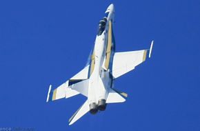 USN F/A-18C Hornet Fighter