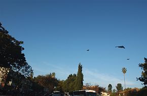 A B-2 Spirit and two F-22 Raptors - Stealth Aircraft