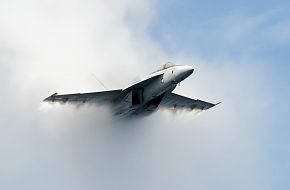 US Navy F/A-18E Super Hornet Fighter