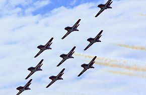 CF Snowbirds Flight Demonstration Team