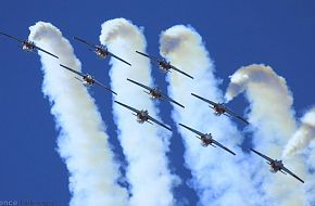 CAF Snowbirds Flight Demonstration Team