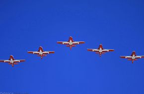 CAF Snowbirds Flight Demonstration Team