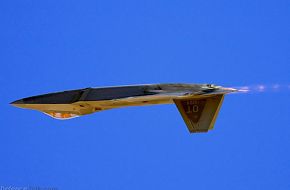 USAF F-22A Raptor Stealth Fighter