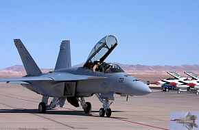 US Navy F/A-18F Super Hornet Fighter