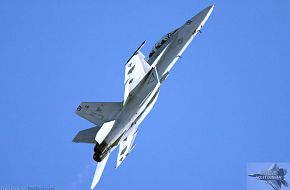 US Navy F/A-18F Super Hornet Fighter