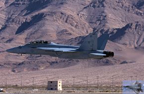 US Navy F/A-18F Super Hornet Fighter