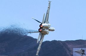 US Navy F/A-18F Super Hornet Fighter