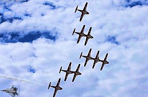 CAF Snowbirds Flight Demonstration Team