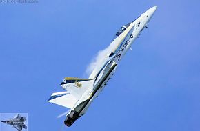 US Navy F/A-18C Hornet Fighter