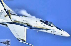 US Navy F/A-18C Hornet Fighter