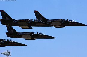 Patriots L-39 Flight Demonstration Team