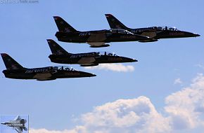 Patriots L-39 Flight Demonstration Team