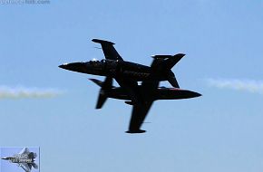 Patriots L-39 Flight Demonstration Team