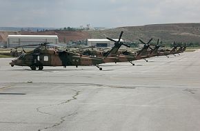 Black Hawks