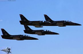 Patriots L-39 Flight Demonstration Team