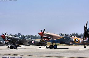 US Army Air Corps and RAF P-40 Warhawk Fighter