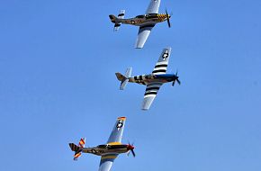 US Army Air Corps P-51 Mustang Fighter