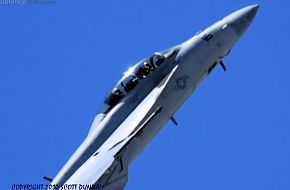 US Navy F/A-18F Super Hornet Fighter