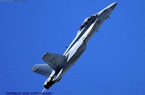 US Navy F/A-18F Super Hornet Fighter