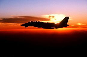 F-14 Tomcats sunset flight