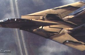 f-14a tomcat iranian