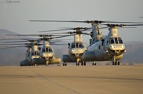 CH-46C Helicopters at Miramar 2010 Air Show